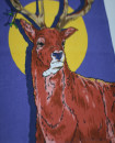 Set of 3 Beautiful Deer Design LARGE SIZE Highly Absorbent Multi Purpose Kitchen Towel Tea Towels 70cm by 45cm Hanging Loop